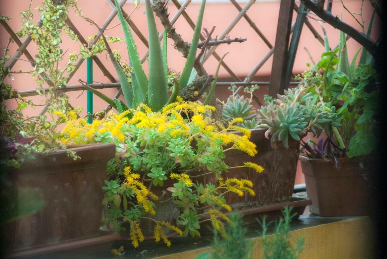 Appartamento Fiore Roma Dış mekan fotoğraf